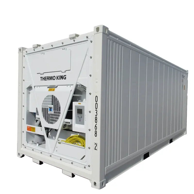 CONTENITORE FRIGORIFERO DA 20 FT